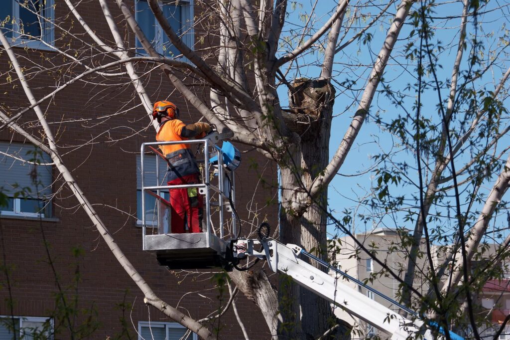 Najem dvižne košare za vzdrževanje okolice